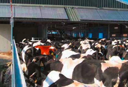 Зачем молочникам солнечная энергетика?