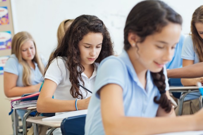 чи варто віддавати дитину в приватну школу